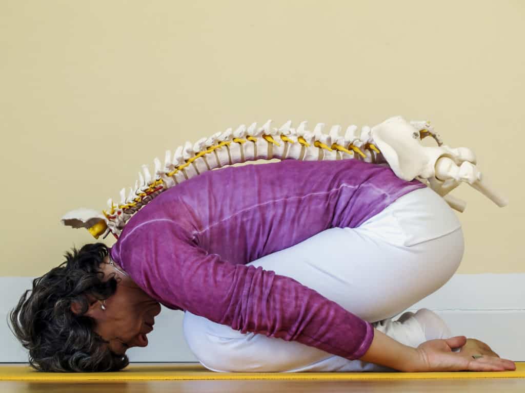 An Introduction to Using Yoga to Work with Patients with Scoliosis