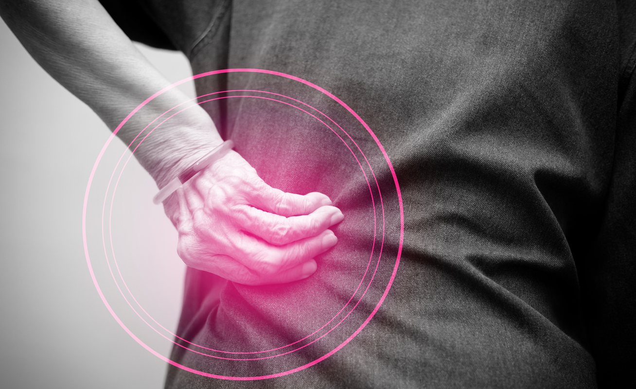 Orthopedic Manual Therapy for Low Back Pain Allied Health Education